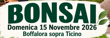Immagine anteprima